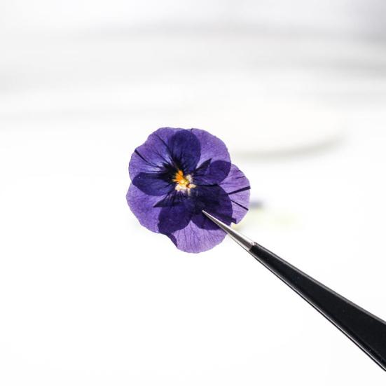 24 Pièces Fleurs Séchées Pressées Naturelles Bricolage Artisanat d'Art Décoration de Gâteaux Cocktails Bijoux en Résine Scrapbooking Marque-pages Fabrication Kit de Fleurs Pressées