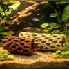 Underwater Breeding House Aquarium Shrimp Cave, Artificial Tree Trunk Hide, Fish Tank Porous Tunnel Hideout, Realistic Cave for Betta