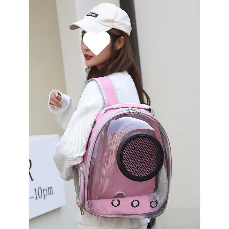 Sac à dos transparent monobloc pour animaux de compagnie pour chiens et chats