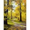 DIY 5D Diamond Painting Autumn Landscape Tree Diamond Embroidery Cross Stitch Mosaic Full Round
