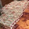 WTEMPO Pungi pentru Cumpărături cu Fundă Panglică Purtate de Mână Ambalaje Pungi Pliabile Imprimate Universale DIY Pungi de Depozitare Pungi de Hârtie cu Trandafiri pentru Nuntă Pungi pentru Cadouri la Petreceri Festival