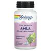 Solaray, Essential Extract, AMLA, 500 Mg, 60 Veggie Capsules