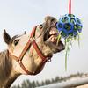 Balle à friandises pour cheval Distributeur de foin Balle jouet à suspendre Jouet d'alimentation pour cheval Cheval Chèvre Mouton Soulager le stress Balle à friandises pour cheval