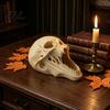 Dark Style Room Decor for Parties 3D Printed Halloween Skull Ornament, Realistic Horror Statue, Spooky Detailed Figurine Shelves with Sharp
