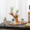 Bamboo Shelf Desktop Flower Rack Multi-layer Home Decoration Succulents Bonsai Organizer Tree Branch Shape Flower Storage