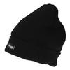 Mens Thinsulate Beanie