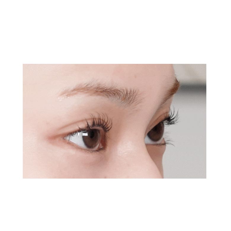 ENTROPY Self Lash Perm Kit 4items