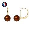 Earrings - - Sleepers - Chocolate Freshwater Cultured Pearls - 9ct Yellow Gold - AAA+