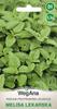 Lemon Balm 0.3g Lemon Balm Seeds -