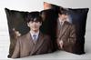 [USED] BTS Cushion Cover, CELINE, Featuring Taehyung (V)