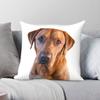 Prachtige Vos Rood Labrador Vierkante Kussensloop Polyester Linnen Fluweel Patroon Rits Decor Kussenhoes Bank Kussenhoes