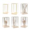 Elegant Display Case for Collectibles Assemble Clear Covers Brass Frame Glass Encases Decors for Living Room Showcases