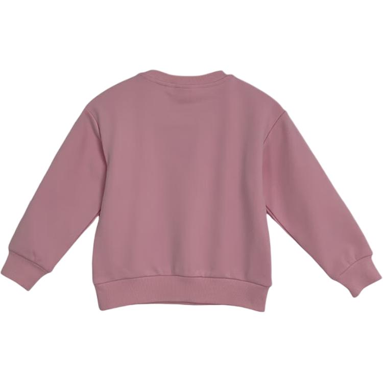 Nike Kids Sweatshirts Crew Neck Moderate IQ2912-690
