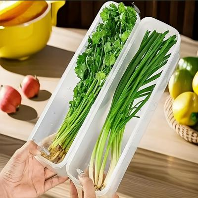 Airtight Plastic Refrigerator Storage Container For Fresh Herbs Vegetables Eggs Noodles Kitchen Organizer With Lid Keep Food Fresh