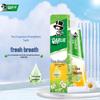 Tea Care Chrysanthemum & Longjing Toothpaste
