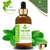 Pure Herbs Citrata 100% Pure & Natural Mentha Citrata Essential Oil ZA 303