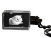 Turkish Angora - Crystal Pendant with Cat Photo, Illuminated Pendant, Unique Gift by Brand