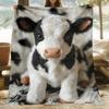 Warm and Cozy Cow Pattern Flannel Printed Blanket Suitable for All Seasons Suitable for Living Room Office Sofa and Travel