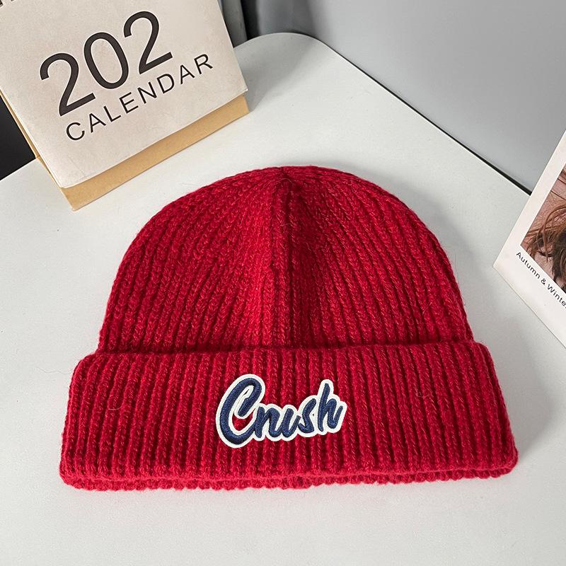 Woolen Hat Autumn and Winter New Style Label Letter Pullover Hat Men's Outdoor Warm Cold Hat Cold Protection Ear Protection Knitted Hat