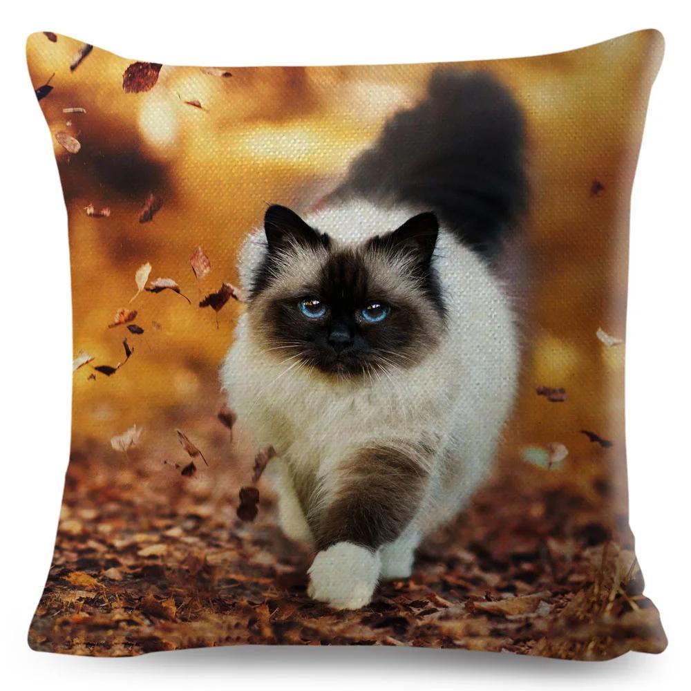 Funny Cute Cat Cushion Cover Decor Lovely Pet Animal Print Pillowcase Polyester Throw Pillow Case for Sofa Home Car 45x45cm