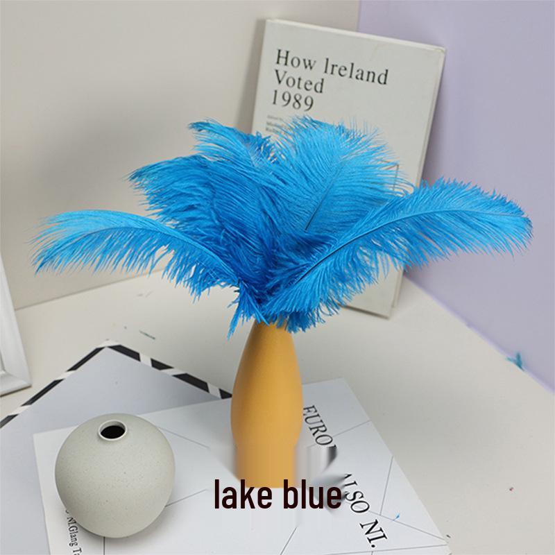 Ostrich Feathers 20-25cm for Stage Performance, Handmade DIY Jewelry, and Decoration Materials