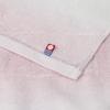 Nishikawa Imabari Towel Gift 2 Face Made in Gift Pink Set Towels, 100% Cotton, Fluffy, Japan, Packaging, (TBF2997111P)