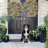 New 50cm Decor Wreath Beautiful Artificial Spring Summer Wreath Home Decoration