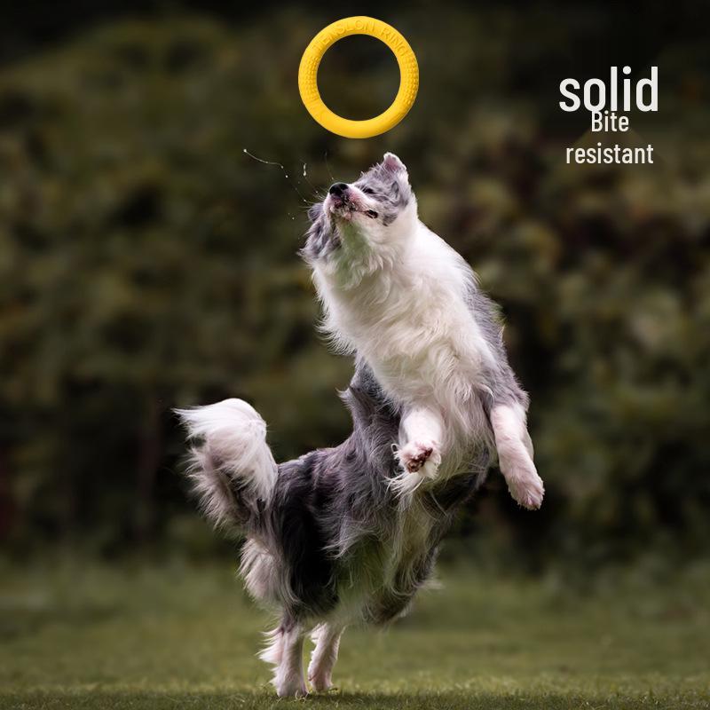 Meianju Bite-Resistant Floating TPR Frisbee Dog Training Toy