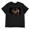 Dachshund Dog Photo Portrait T-Shirt Baggy Shirts Quick Drying Oversize T-shirts Man Mens Clothes
