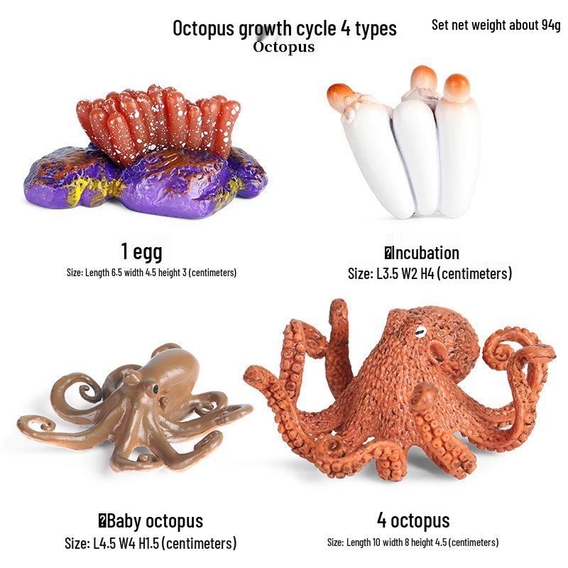 Pediatric Cognitive Simulation: Mini Salmon Growth Cycle Toy