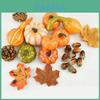 Exquisites Halloween Künstliches Schaumkürbis-Set mit Realistischen Tannenzapfen-Requisiten