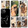 Phone Case For iPhone 16 15 14 13 12 11 Pro Max XS X XR SE 7 8 Plus Shell Labrador Golden Retriever Dog iPhone 16e Cover