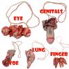 Ramidos Halloween Decoration Scary Bloody Fake Latex Arm Hand Foot Heart Brain Finger KTY