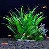 Aquarienlandschaft Wasserpflanze mit Basis Aquarien Sicher Dekorative Grüne Pflanze