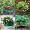 Suport pentru plante de căpșuni Suport din plastic pentru căpșuni Balcon Cultivă legume Fructe Stâlp cățărător Suport de grădinărit Suport pentru plante 1 set