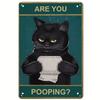Hisun Tin Sign Funny Cat Bathroom Decor Wall Art  Vintage Metal Signs With Are You Pooping  And Cat Design Bathroom Wall Decor