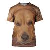 Fashion 3D Dog Pet Print Men's T Shirt Casual O-neck Loose Short Sleeve Tops Fashion Trend Summer Oversized T-shirt Men Clothing