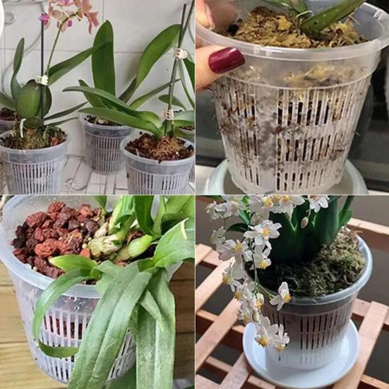 Orchid Flower Pot Clear Orchid Pot with Drainage Holes Raised Bottom Breathable Slotted Plant Pot for Repotting Indoor Outdoor Use