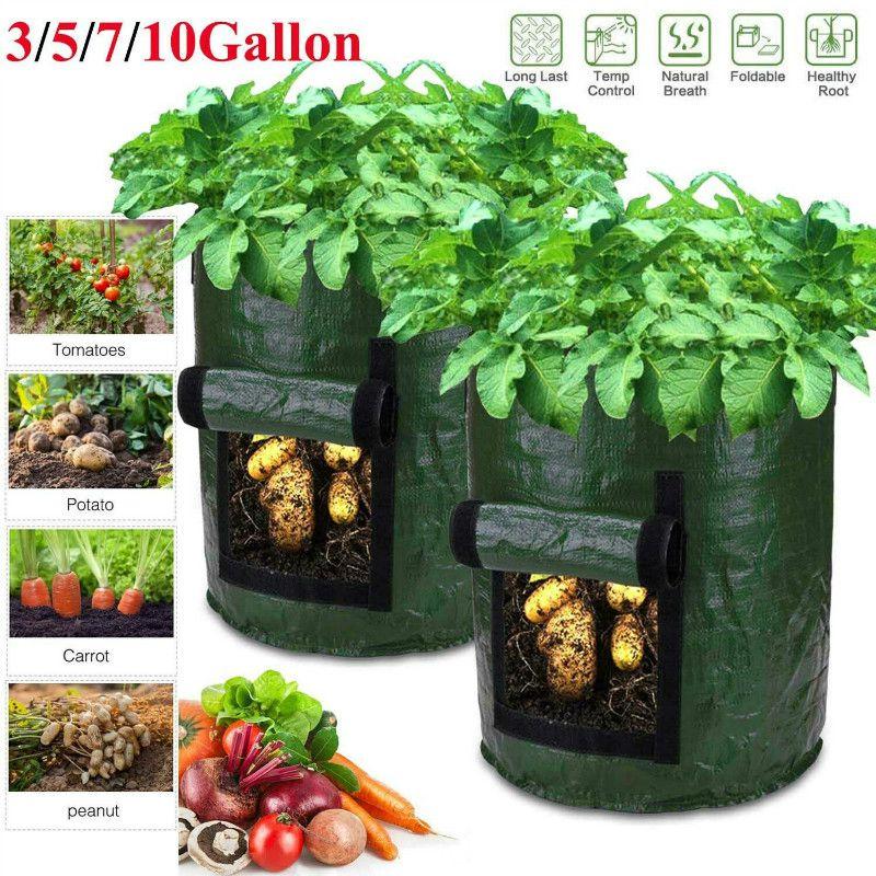 Practical And Lightweight Garden Plant Tools For Homegrown Food On Balconies And Patios