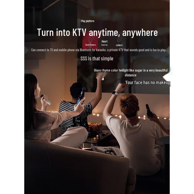 Newmine DP07 Tragbares Karaoke-System mit zwei Mikrofonen CN-Stecker (Adapter enthalten) (CN-Version)