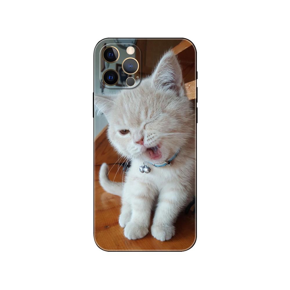 Katzenbrille Cooles Handyhülle für iPhone 5 5s 2020se 6 6s 7 8 plus x 10 XR XS 11 12 13 mini pro MAX schwarz TPU Rückseite
