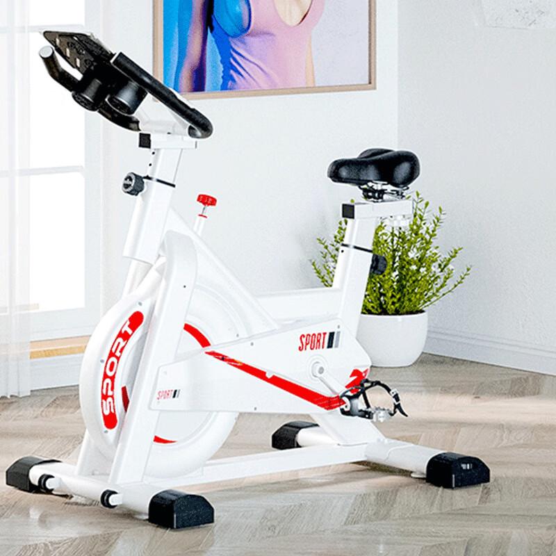 LanOu Home Magnetic Stationary Bike CN plug (adapter included)