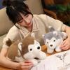 304050Cm Cute Dog Puppy Husky Pillow Plush Toy Cute Animal Stuffed Doll Home Decoration Baby Birthday Gift