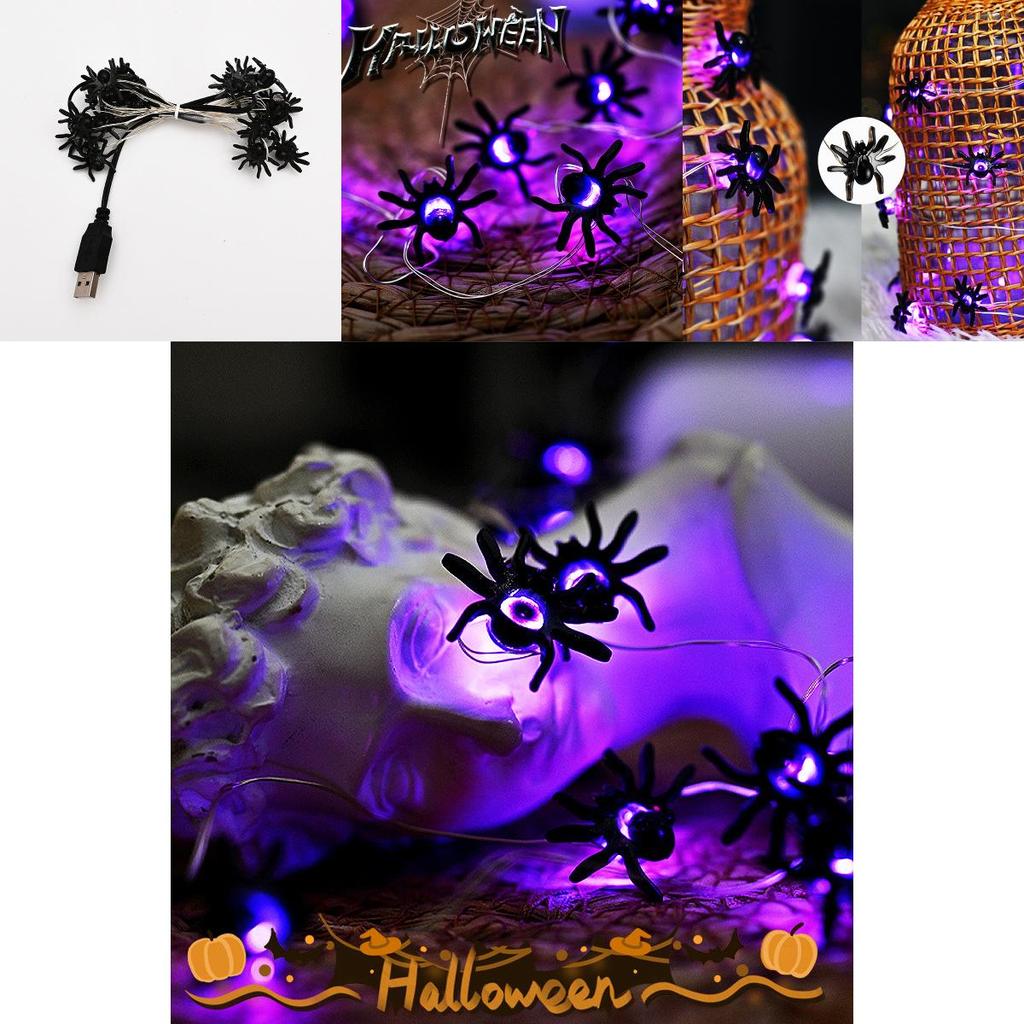 Halloween Dekoration Lila Spinnenlichter Wasserdicht 2m/5m 20/50 LED Lichter Batterie-/USB-betrieben