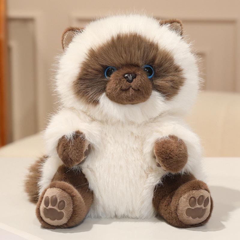 Sac à dos Peluche Chat Ragdoll – Ami Peluche Poupée Cadeau d'Anniversaire