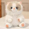 Sac à dos Peluche Chat Ragdoll – Ami Peluche Poupée Cadeau d'Anniversaire