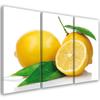 Three Piece Picture Canvas Print Fruits Lemons