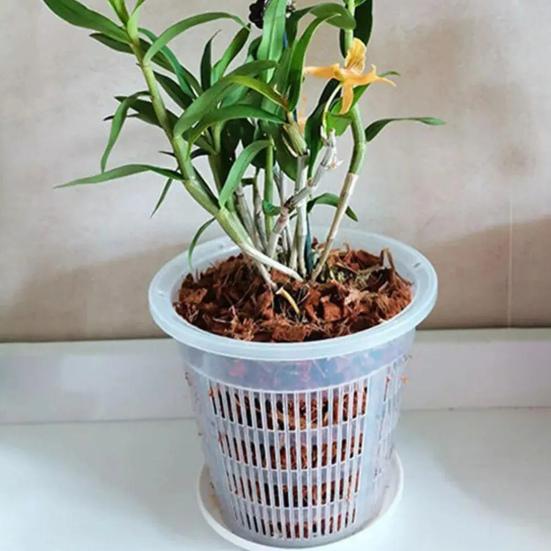 Orchid Flower Pot Clear Orchid Pot with Drainage Holes Raised Bottom Breathable Slotted Plant Pot for Repotting Indoor Outdoor Use