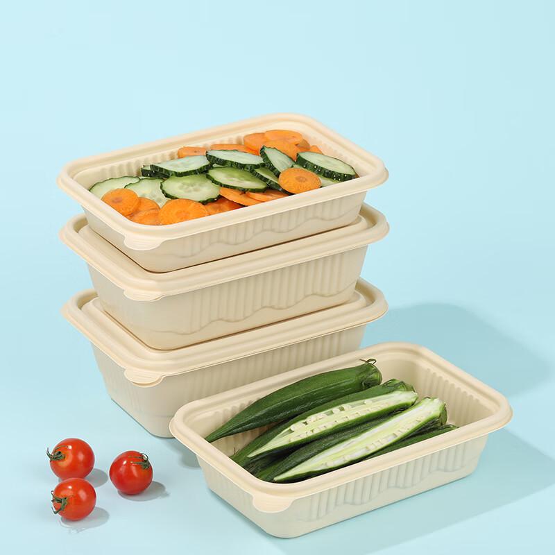 Hanyou Biodegradable Double Compartment Lunch Box Bases (20-Pack)