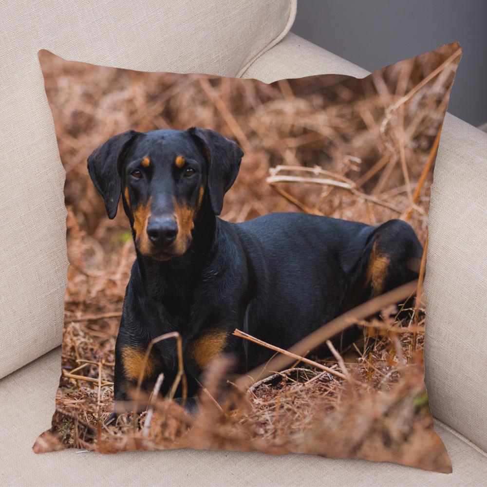 Dobermann Kussenhoes Dubbelzijdig Print Decor Huisdier Hond Dier Kussenhoes voor Auto Bank Huis Zacht Pluche Kussenhoes